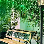Secret Garden *